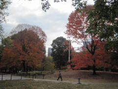 Podzim v New Yorku