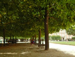 V pařížském parku