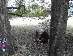 nepotřebuje komentář...