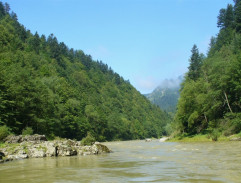 rieka 3