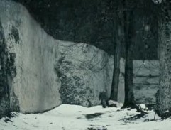 Legenda o létajícím Cypriánovi