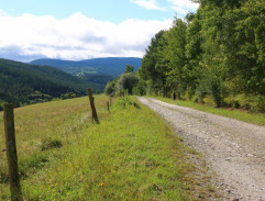 Cesta za Patrikem