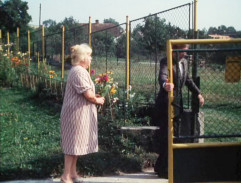 Slunce, seno, jahody