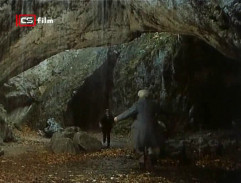 Lev s bílou hřívou