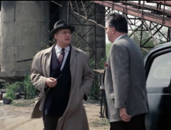 Maigret a vzpurní svědkové
