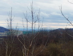 Krajina