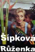 Šípková Růženka (2001)