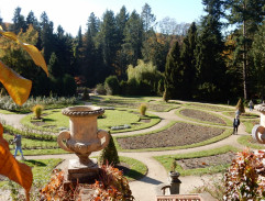 Jáchyme, hoď ho do stroje!