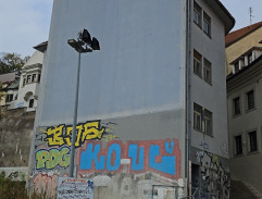 Statečný zloděj