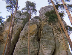 Jak dostat tatínka do polepšovny