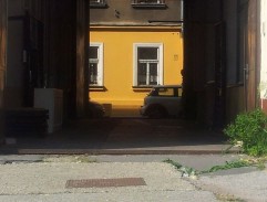 Konfident