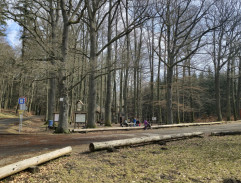 Nástup