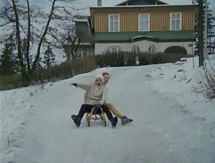 Sáňky