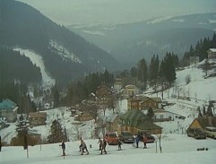Pohled do údolí