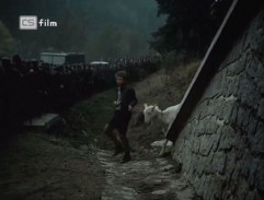 Proč nevěřit na zázraky