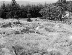 Armin u rozvalin domu