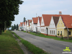 Namíchnutý povozník
