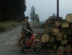 Na cestě