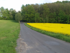 Pohotovost pátracích jednotek