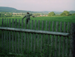 Trůneček u plotu