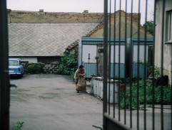 dvor