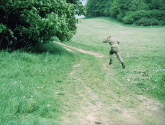 Pronásledování včelami