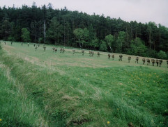 Copak je to za vojáka...