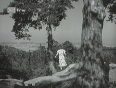 Prachovské skály 5