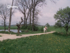 Rozcestí