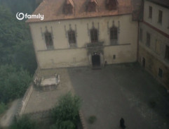 Kočičí princ