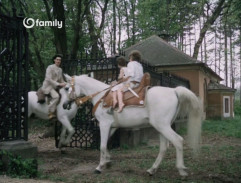 Kočičí princ