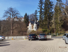 Uličnice