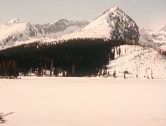 Solisko