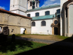 Ve dvoře