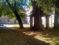 V lágru