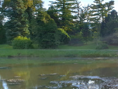 3. Amorovy nástrahy