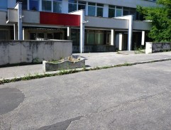 Malé zlaté slunce