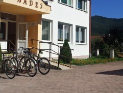 Píseň o šedém holubovi