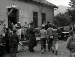 Píseň o šedém holubovi