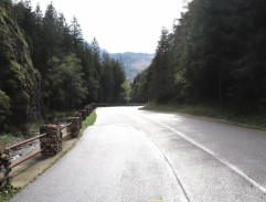 cesta