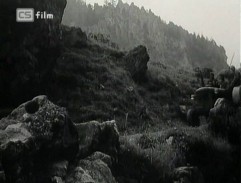 medzi skalami