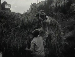 Třikrát svítá ráno