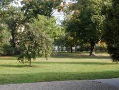 park