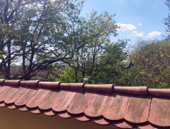 Únos Moravanky