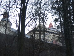 kráľovstvo nakazené morom