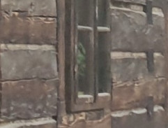 Dvanáct měsíčků