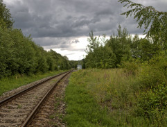 Kvočny a Král