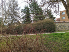 10. Svátky klidu a míru