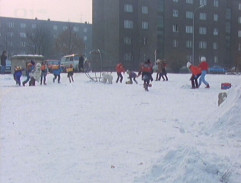 8. Rozsudek