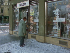 8. Rozsudek